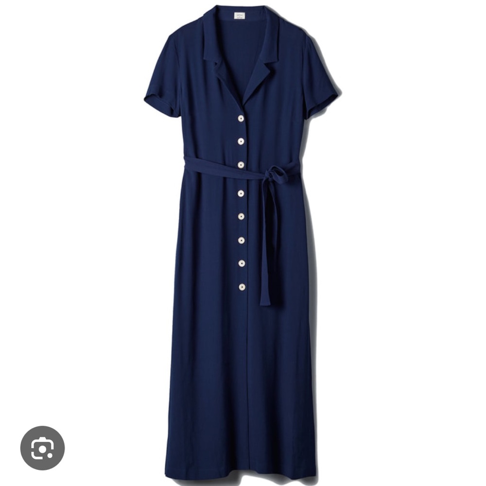 Aritzia Button Down Dress
